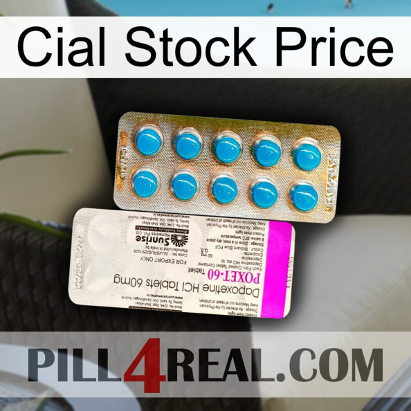 Cial Stock Price new07.jpg